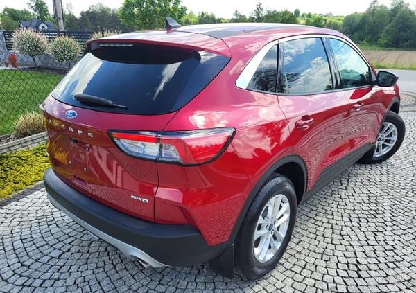 Ford Kuga cena 81999 przebieg: 18000, rok produkcji 2022 z Tarnów małe 631